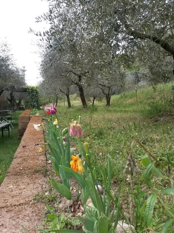 Agriturismo Camparella パストレンゴ エクステリア 写真