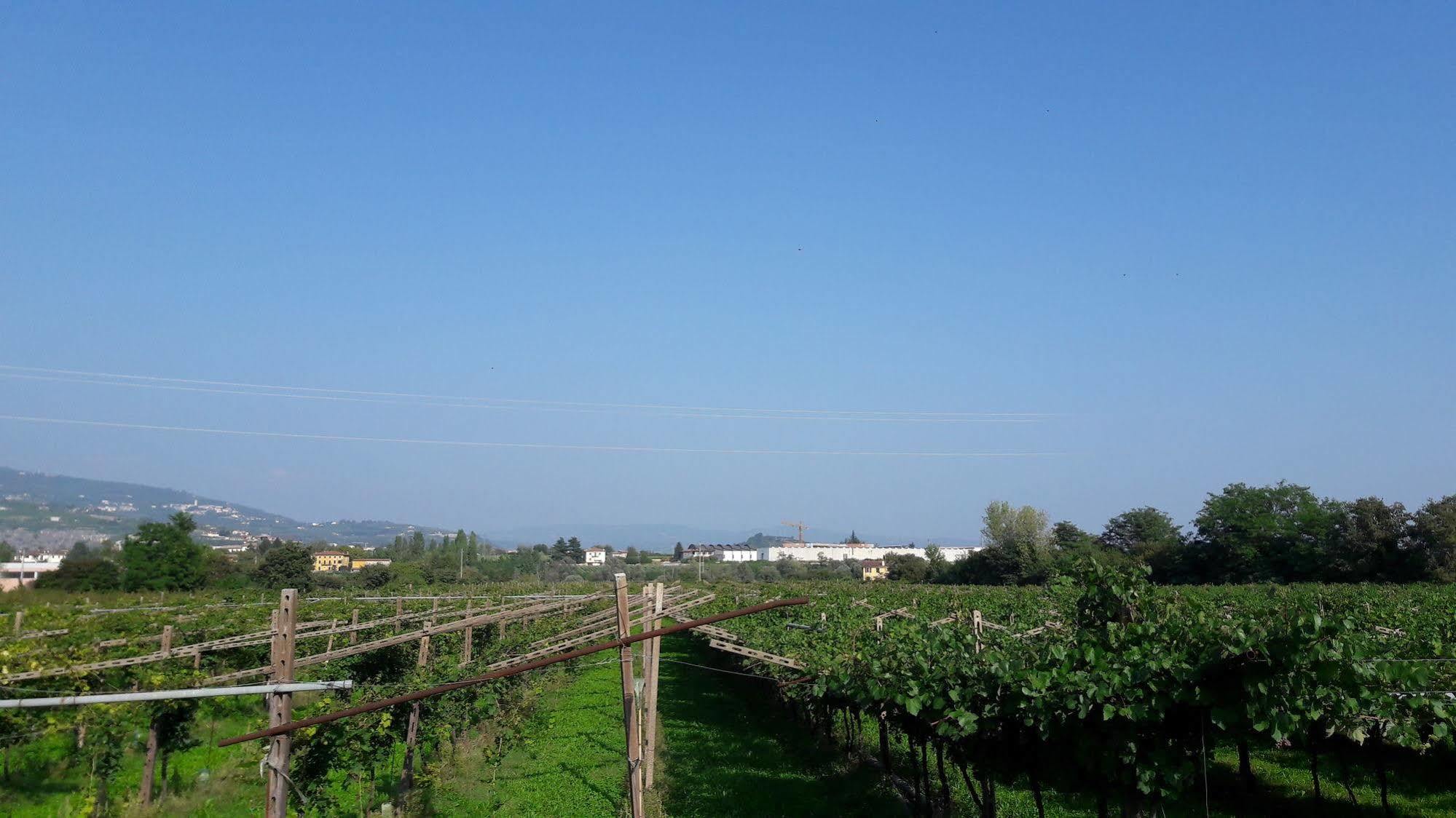 Agriturismo Camparella パストレンゴ エクステリア 写真